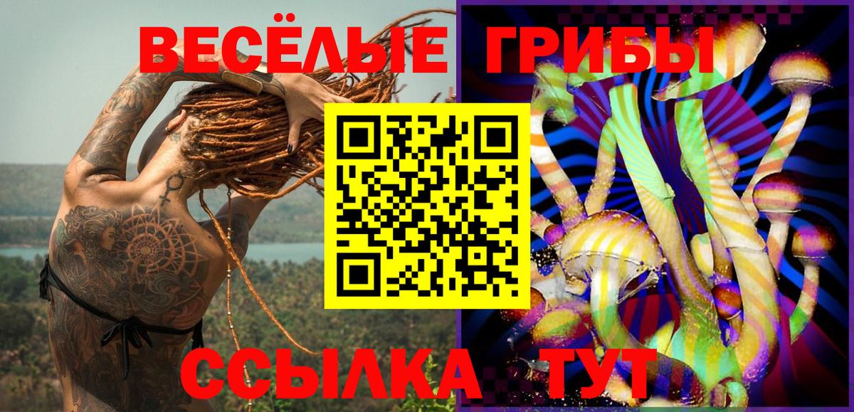 цена   Вход с VPN  Псилоцибиновые грибы Psilocybine cubensis  Севастополь  Галлюциногенные грибы ЛСД 